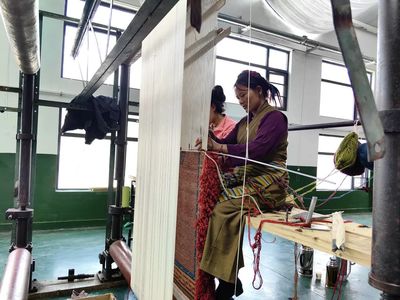 仁布縣特色產業&ldquo;更新迭代&rdquo;