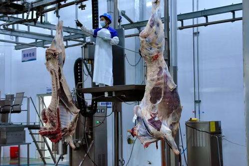 云南瑞麗市復(fù)產(chǎn)復(fù)工加速 鵬和農(nóng)業(yè)食品加工廠恢復(fù)生產(chǎn)